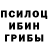 Псилоцибиновые грибы GOLDEN TEACHER Cenentury0941